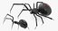 3D black widow spider rigged