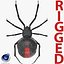 3D black widow spider rigged