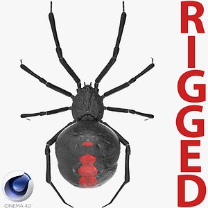 Black Widow Spider Rigged for Cinema 4D