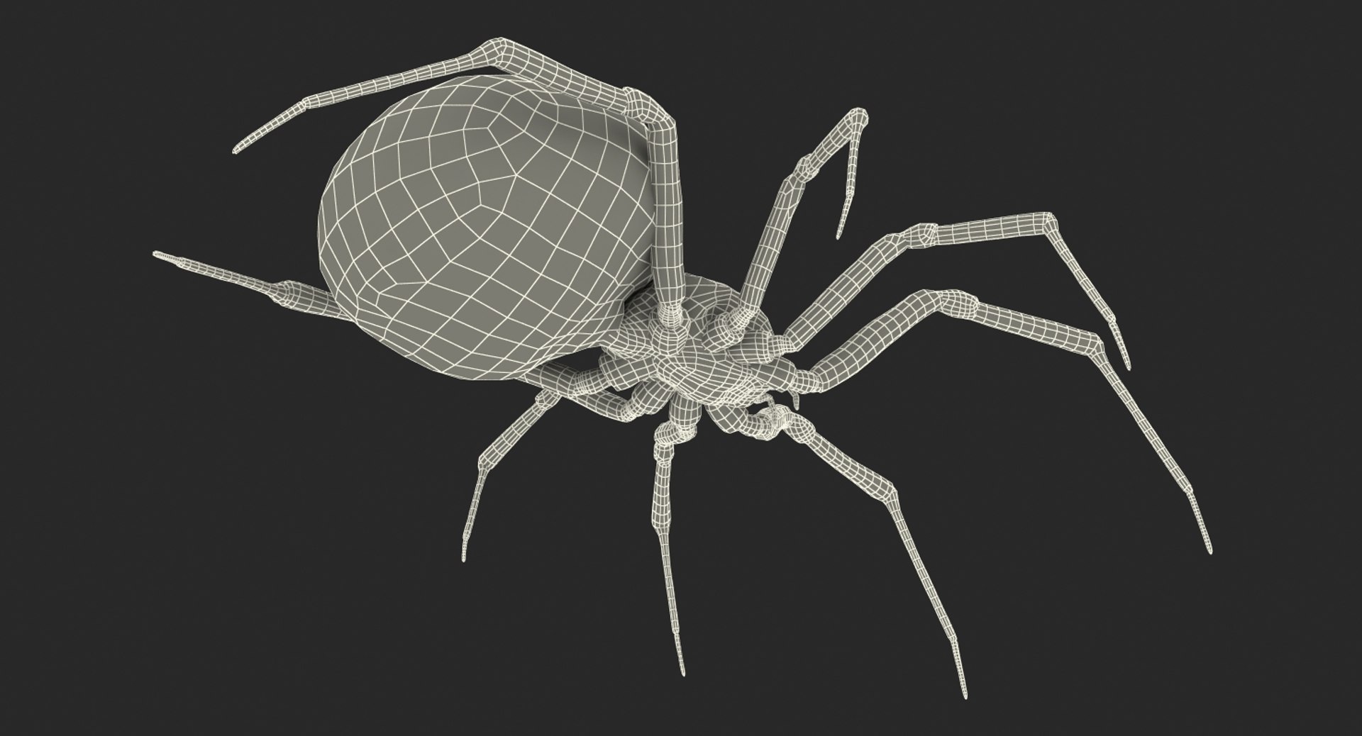 3D black widow spider rigged https://p.turbosquid.com/ts-thumb/xo/DbLb6Y/5HWajopO/blackwidowspiderriggedcinemac4d3dmodel32/jpg/1498191788/1920x1080/fit_q87/bc74abb28791ccb63ea98f7701176fee5e79bf09/blackwidowspiderriggedcinemac4d3dmodel32.jpg