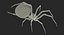 3D black widow spider rigged
