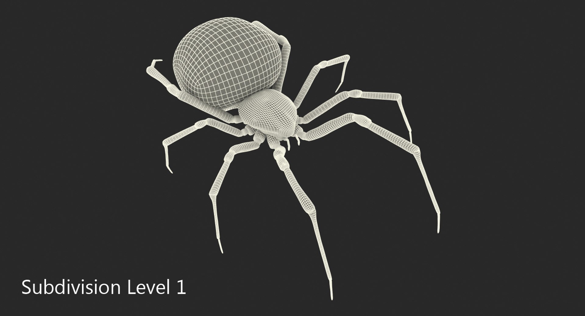 3D black widow spider rigged https://p.turbosquid.com/ts-thumb/xo/DbLb6Y/BK64pqzB/blackwidowspiderriggedcinemac4d3dmodel26/jpg/1498191788/1920x1080/fit_q87/6c5e1f83a46df519767acbb7be4bdb5a70421c0f/blackwidowspiderriggedcinemac4d3dmodel26.jpg