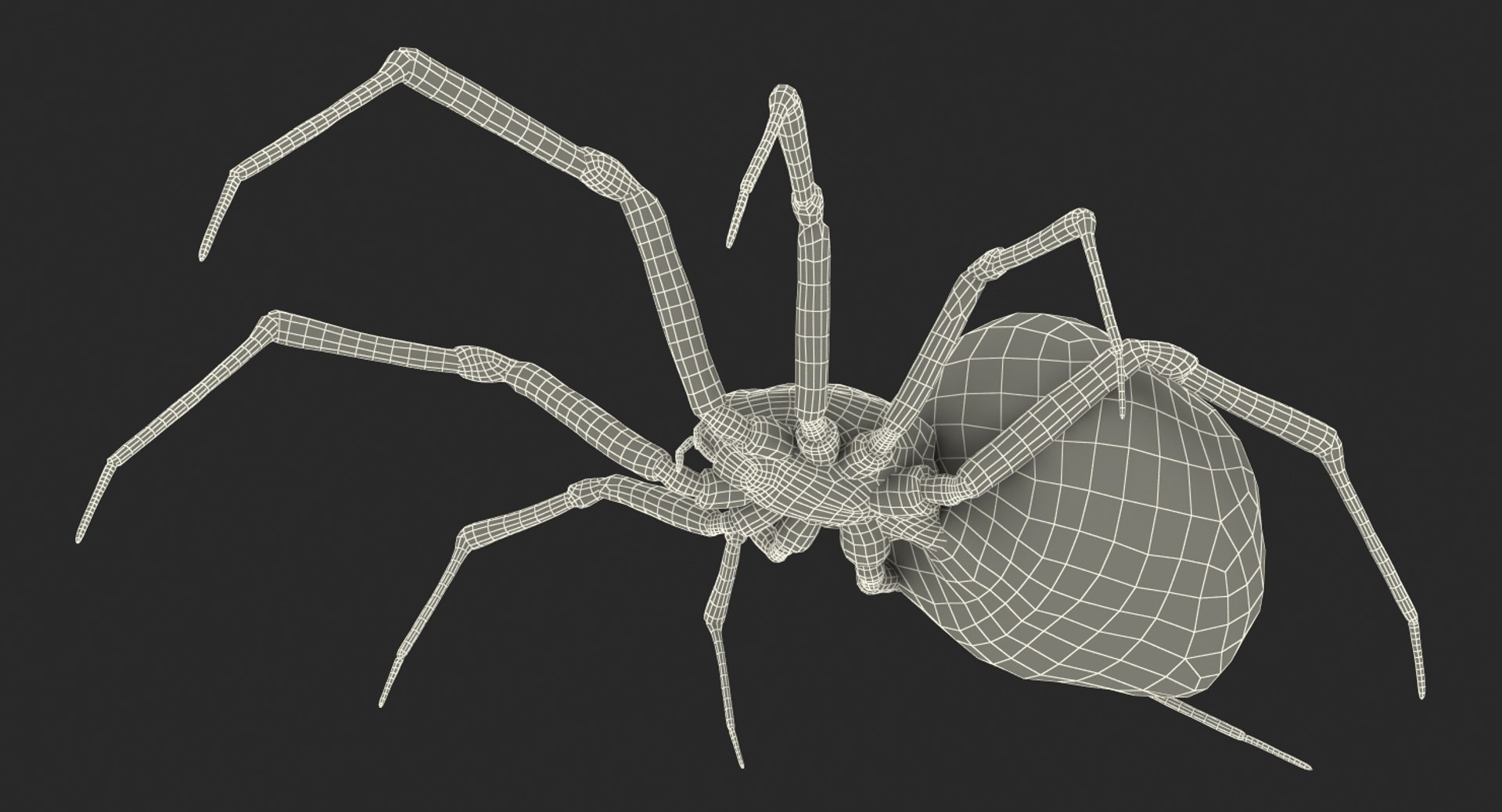 3D black widow spider rigged https://p.turbosquid.com/ts-thumb/xo/DbLb6Y/CiZxVEi1/blackwidowspiderriggedcinemac4d3dmodel31/jpg/1498191788/1920x1080/fit_q87/b477e30025ee6a42a87d88ff815729c63c409d9e/blackwidowspiderriggedcinemac4d3dmodel31.jpg