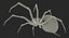 3D black widow spider rigged