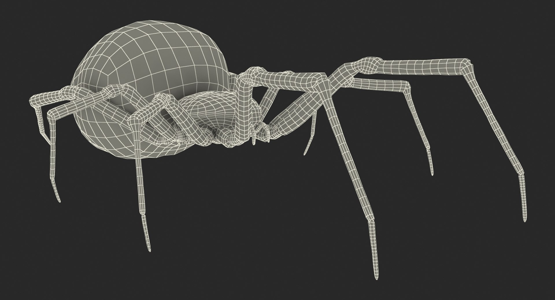 3D black widow spider rigged https://p.turbosquid.com/ts-thumb/xo/DbLb6Y/FvE4IFsD/blackwidowspiderriggedcinemac4d3dmodel29/jpg/1498191788/1920x1080/fit_q87/812e198d12c2575536e95325fc75fd3c0be08863/blackwidowspiderriggedcinemac4d3dmodel29.jpg