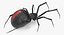 3D black widow spider rigged