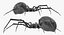 3D black widow spider rigged
