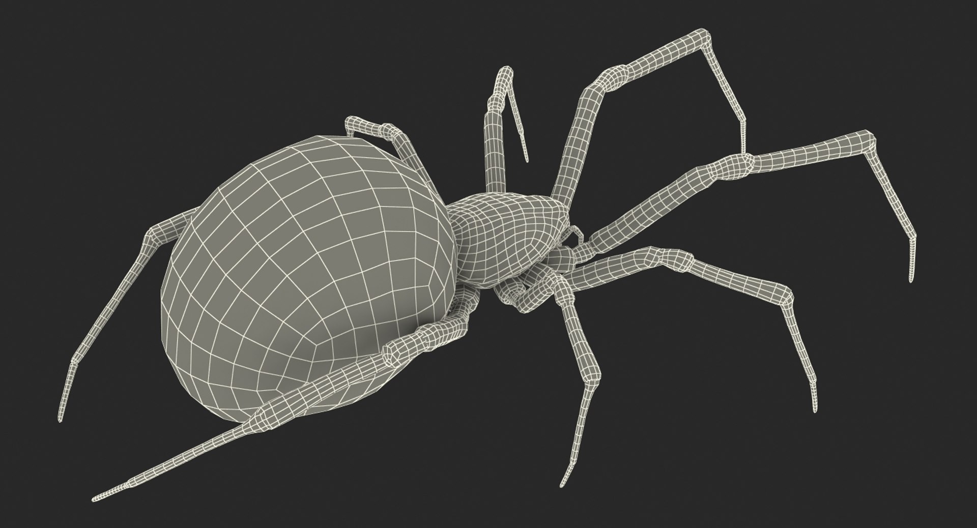 3D black widow spider rigged https://p.turbosquid.com/ts-thumb/xo/DbLb6Y/KjX1js7p/blackwidowspiderriggedcinemac4d3dmodel30/jpg/1498191788/1920x1080/fit_q87/b1170e05b320f4edc1a1afdff62135574174a10f/blackwidowspiderriggedcinemac4d3dmodel30.jpg