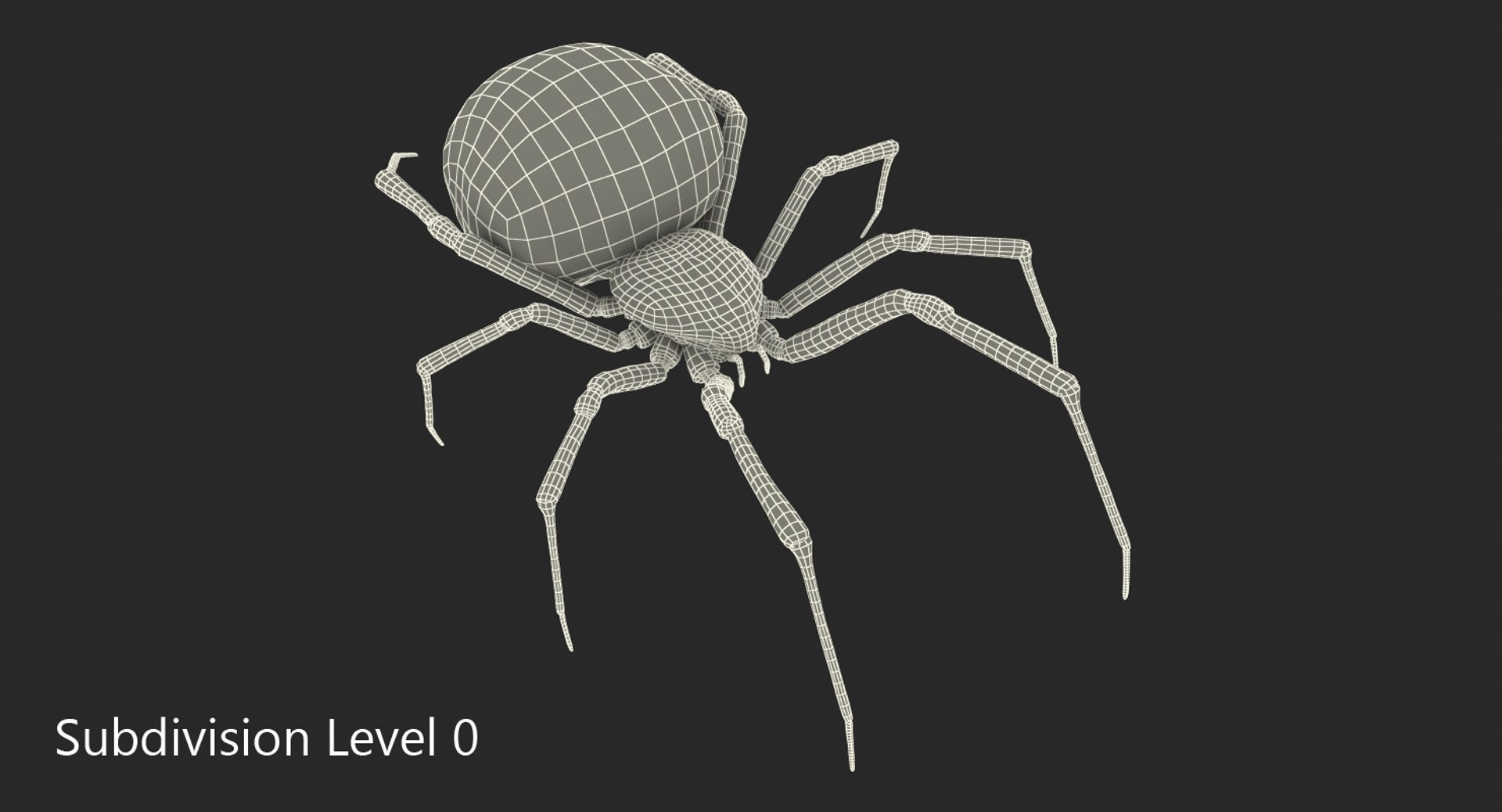 3D black widow spider rigged https://p.turbosquid.com/ts-thumb/xo/DbLb6Y/Yf8KyicA/blackwidowspiderriggedcinemac4d3dmodel25/jpg/1498191788/1920x1080/fit_q87/56ef4f56d3c5e49a951f7ee118dd02791af34828/blackwidowspiderriggedcinemac4d3dmodel25.jpg