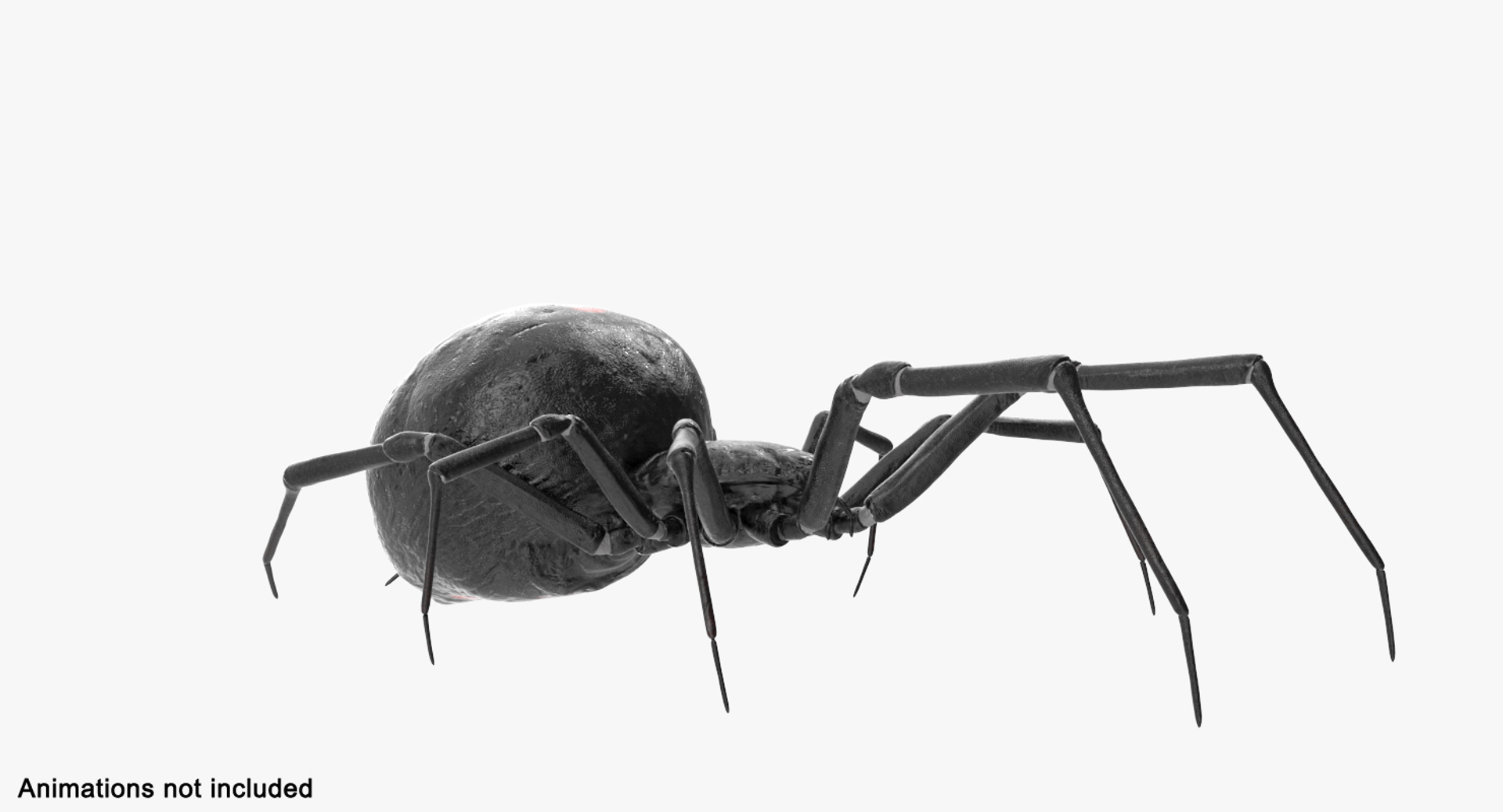 3D black widow spider rigged https://p.turbosquid.com/ts-thumb/xo/DbLb6Y/xAo3lc45/black_widow_spider_rigged_362/jpg/1498192010/1920x1080/turn_fit_q99/8c1f096eac5792bec69d995bf1566c4f8090cc9b/black_widow_spider_rigged_362-1.jpg