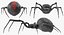 3D black widow spider rigged