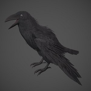 Raven model