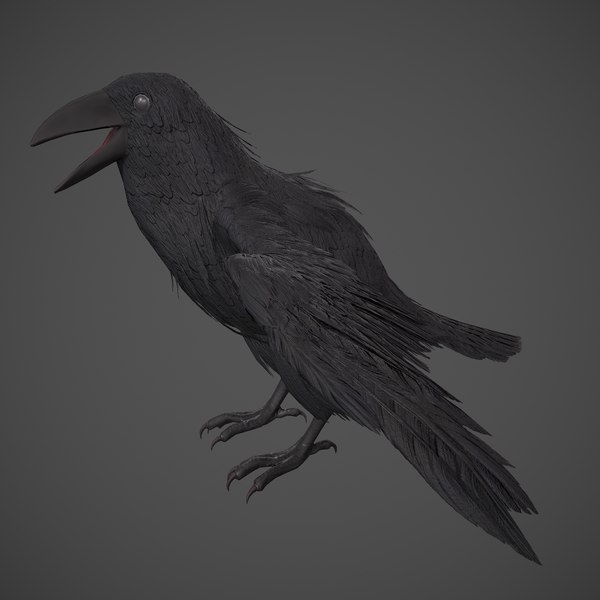 Raven model - TurboSquid 1960383