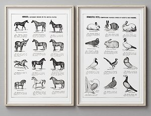 3D Picture Frames Set-340 model