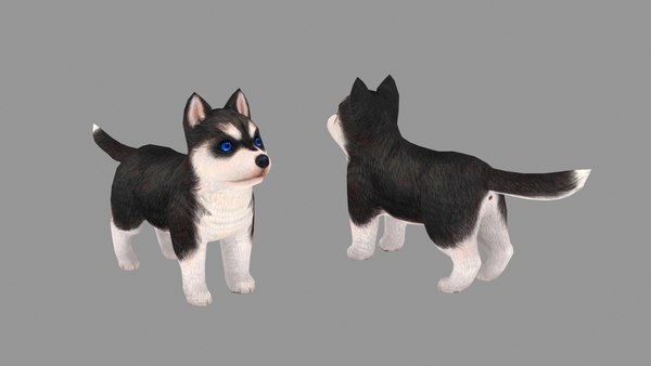 Cartoon Pet Puppy Husky Baby Dog 3d Model Turbosquid 1717807