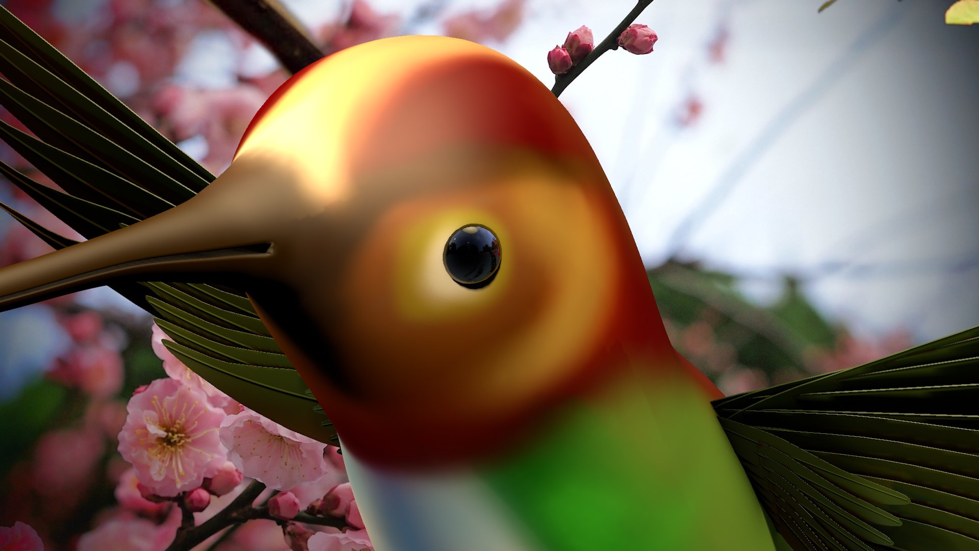 hummingbird birds c4d