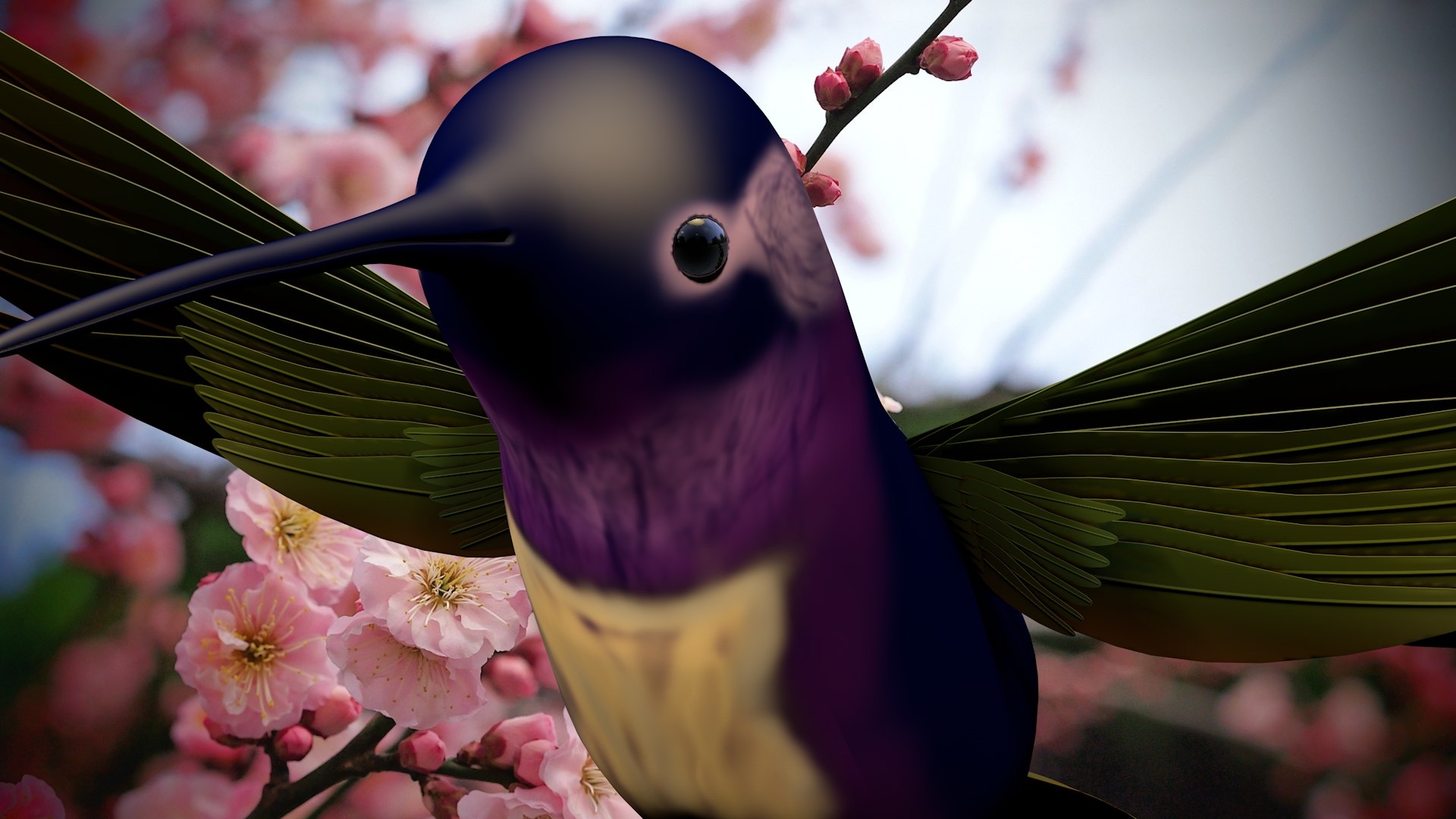 hummingbird birds c4d