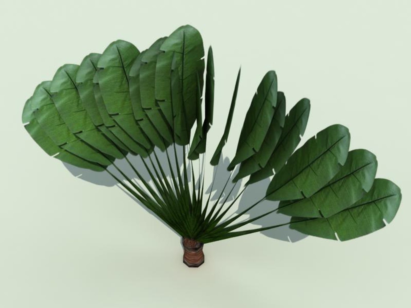 palm trees 3d model https://p.turbosquid.com/ts-thumb/xo/sS0GNW/CTbHH1YR/palm007b/jpg/1256712118/1920x1080/fit_q87/66a0e459bae6b601ff962daf8b0bea19f28b67f9/palm007b.jpg