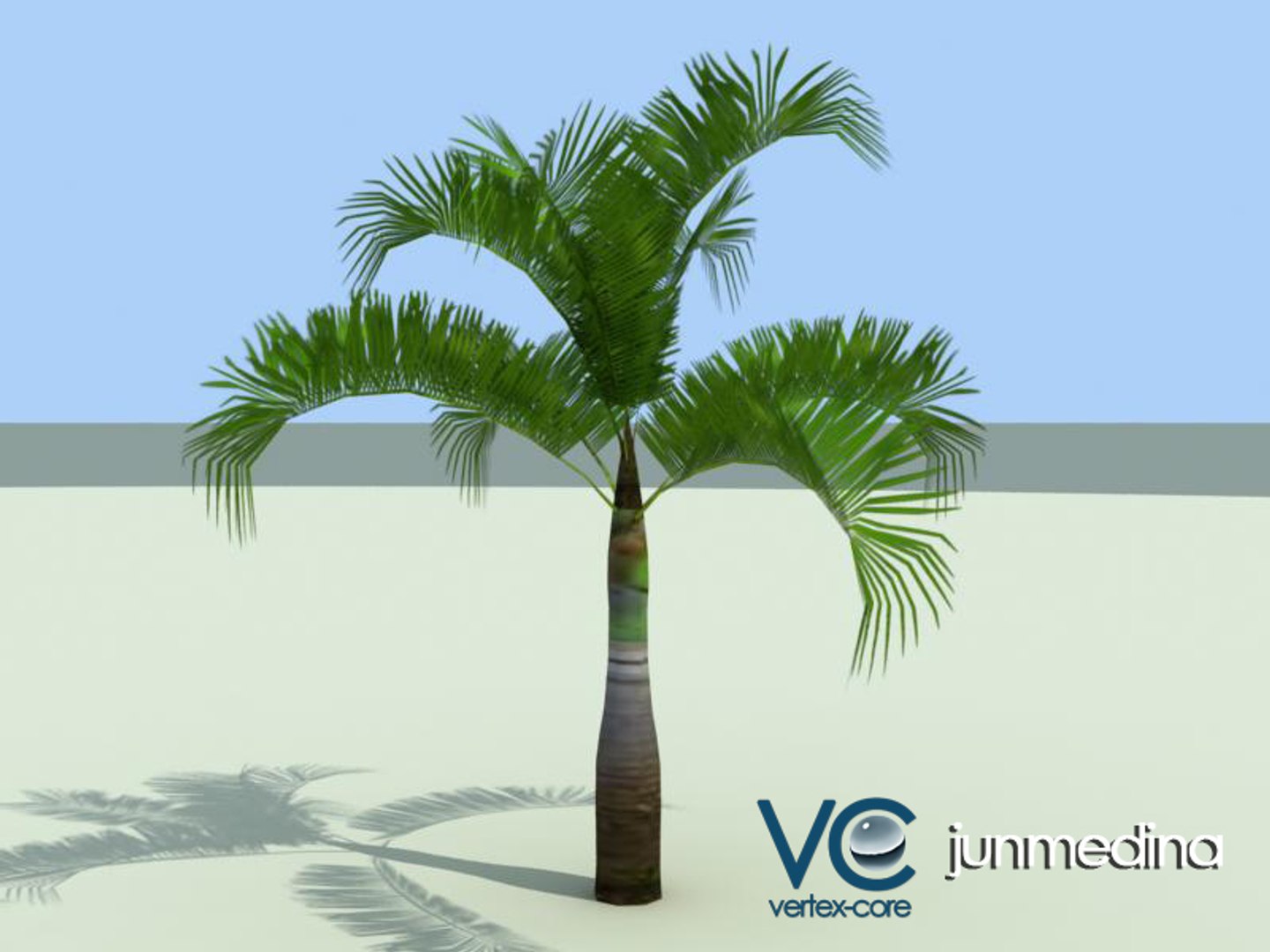 palm trees 3d model https://p.turbosquid.com/ts-thumb/xo/sS0GNW/Edj90HRt/palm003a/jpg/1256711811/1920x1080/fit_q87/6a088ef036530502b10b4f02620bb8cb1fb3a05a/palm003a.jpg