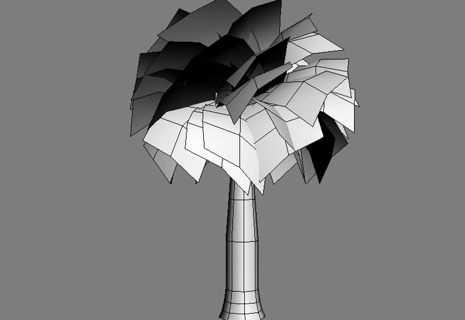 palm trees 3d model https://p.turbosquid.com/ts-thumb/xo/sS0GNW/FIF26NNU/palm004c/jpg/1256711834/1920x1080/fit_q87/f86ac5cef97e0869ae24aca231af210a523a43c0/palm004c.jpg