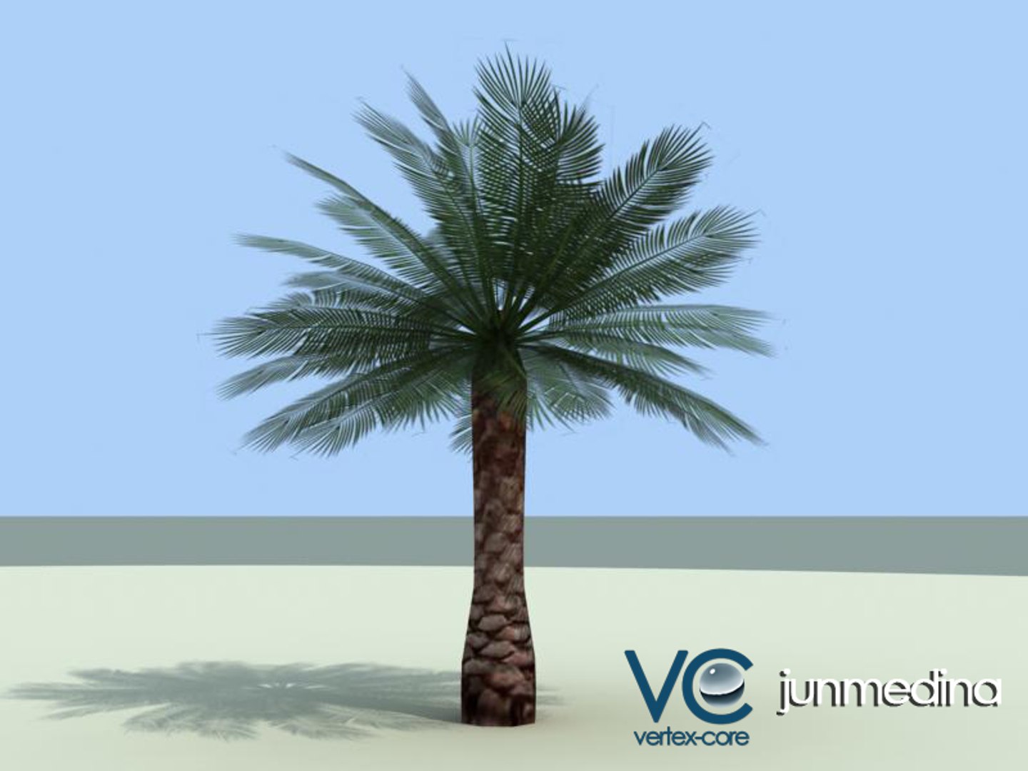 palm trees 3d model https://p.turbosquid.com/ts-thumb/xo/sS0GNW/OWtMTUfR/palm008a/jpg/1256712463/1920x1080/fit_q87/5dcf5e579b8d703ae13cb787e7278e1d08744e82/palm008a.jpg