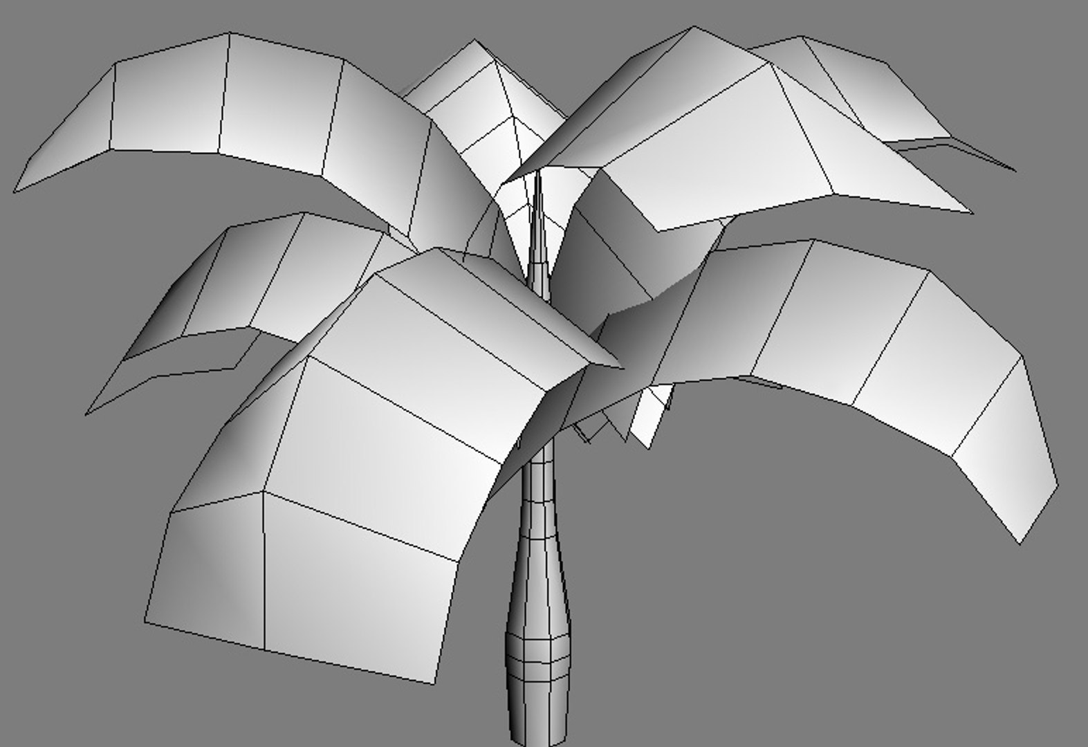 palm trees 3d model https://p.turbosquid.com/ts-thumb/xo/sS0GNW/QK2xRUAd/palm002c/jpg/1256711852/1920x1080/fit_q87/c26528526d3da53da23bab7a4b78f6f963628182/palm002c.jpg