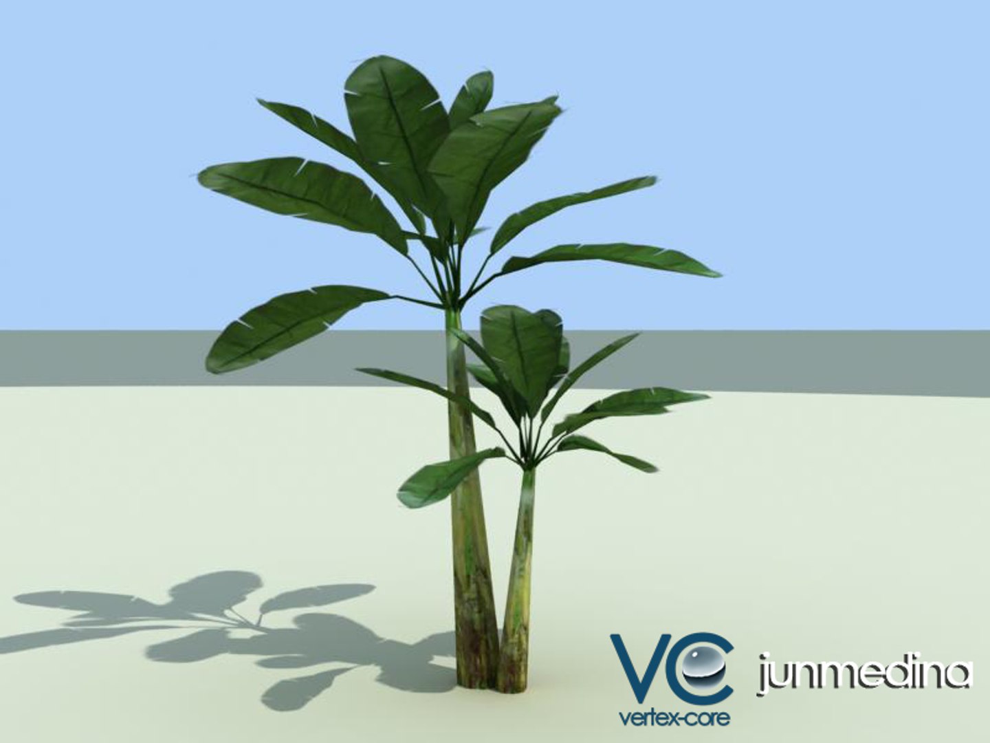 palm trees 3d model https://p.turbosquid.com/ts-thumb/xo/sS0GNW/QjTXB16K/palm009a/jpg/1256712476/1920x1080/fit_q87/2cbae7c9147d3078e5a6dac58bc07da859babde2/palm009a.jpg