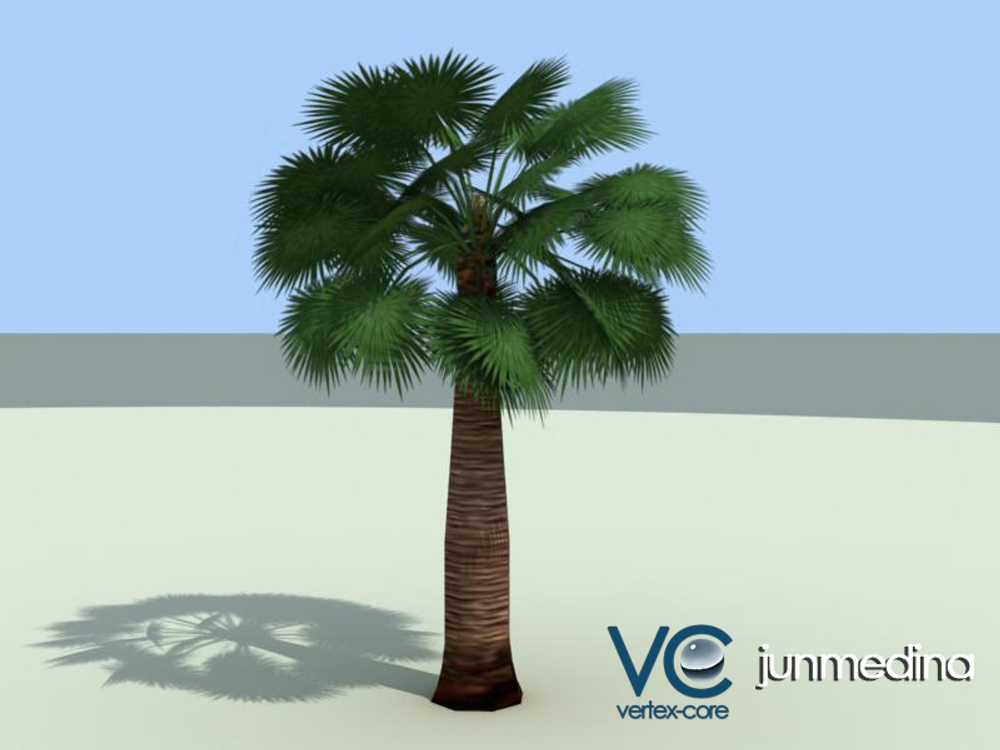 palm trees 3d model https://p.turbosquid.com/ts-thumb/xo/sS0GNW/YBMK6dcB/palm004a/jpg/1256711824/1920x1080/fit_q87/b40ae74b8d28c87a0c0215a38847fae7a1b7042d/palm004a.jpg