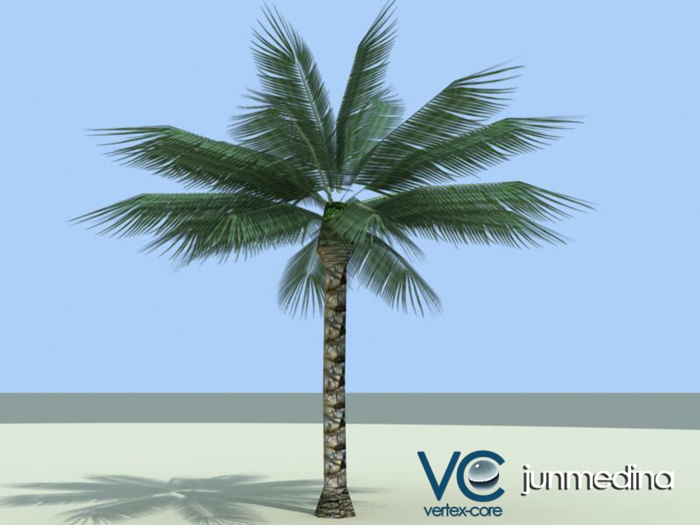 palm trees 3d model https://p.turbosquid.com/ts-thumb/xo/sS0GNW/Zl5v3RLL/palm001a/jpg/1256711272/1920x1080/fit_q87/1014b5b5316f77618e24467c1ec304de9a86f576/palm001a.jpg