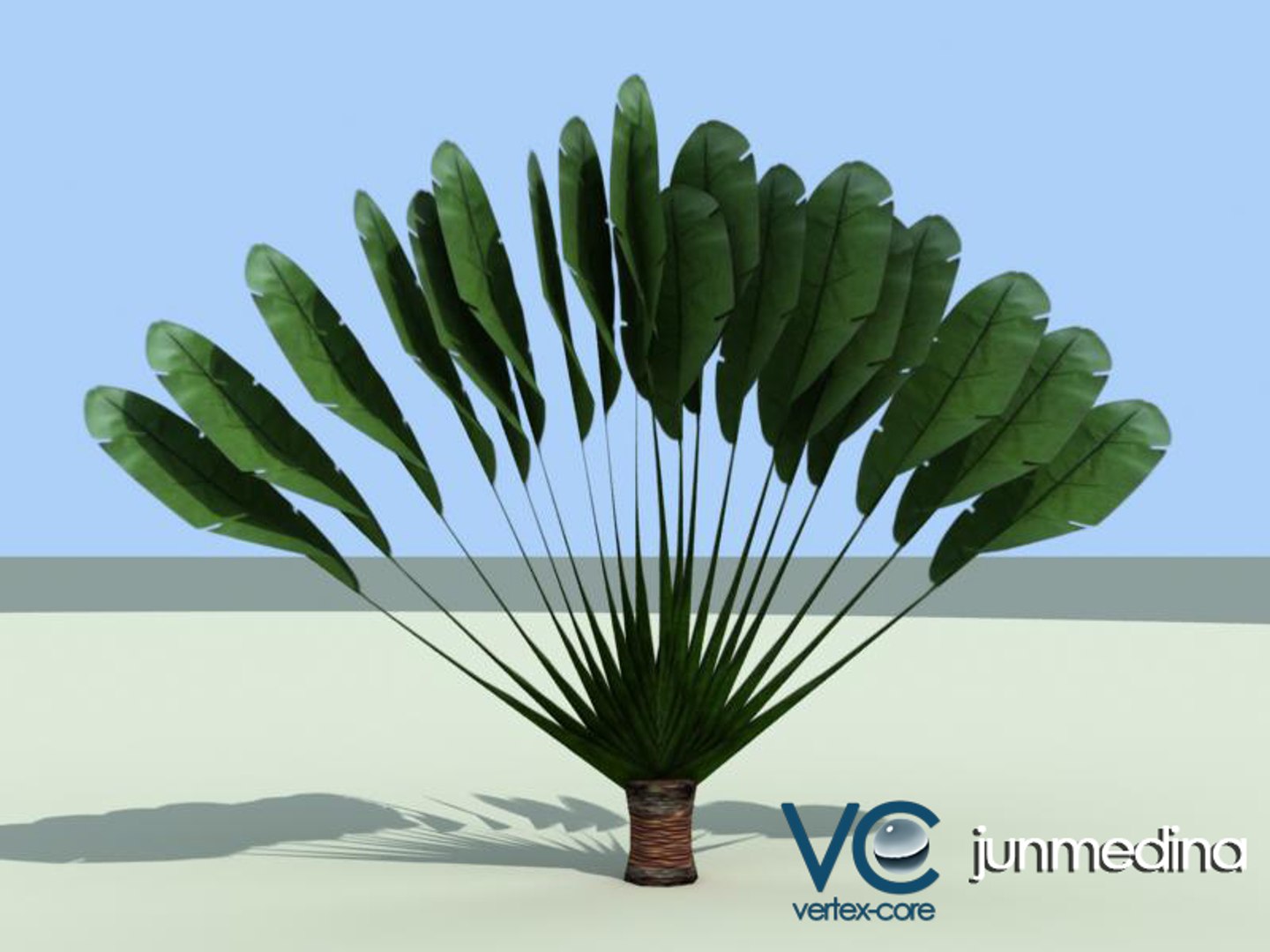 palm trees 3d model https://p.turbosquid.com/ts-thumb/xo/sS0GNW/aPEy6hIK/palm007a/jpg/1256712113/1920x1080/fit_q87/a15096d3fc8a0ca038c4abd1252b6297c5409537/palm007a.jpg