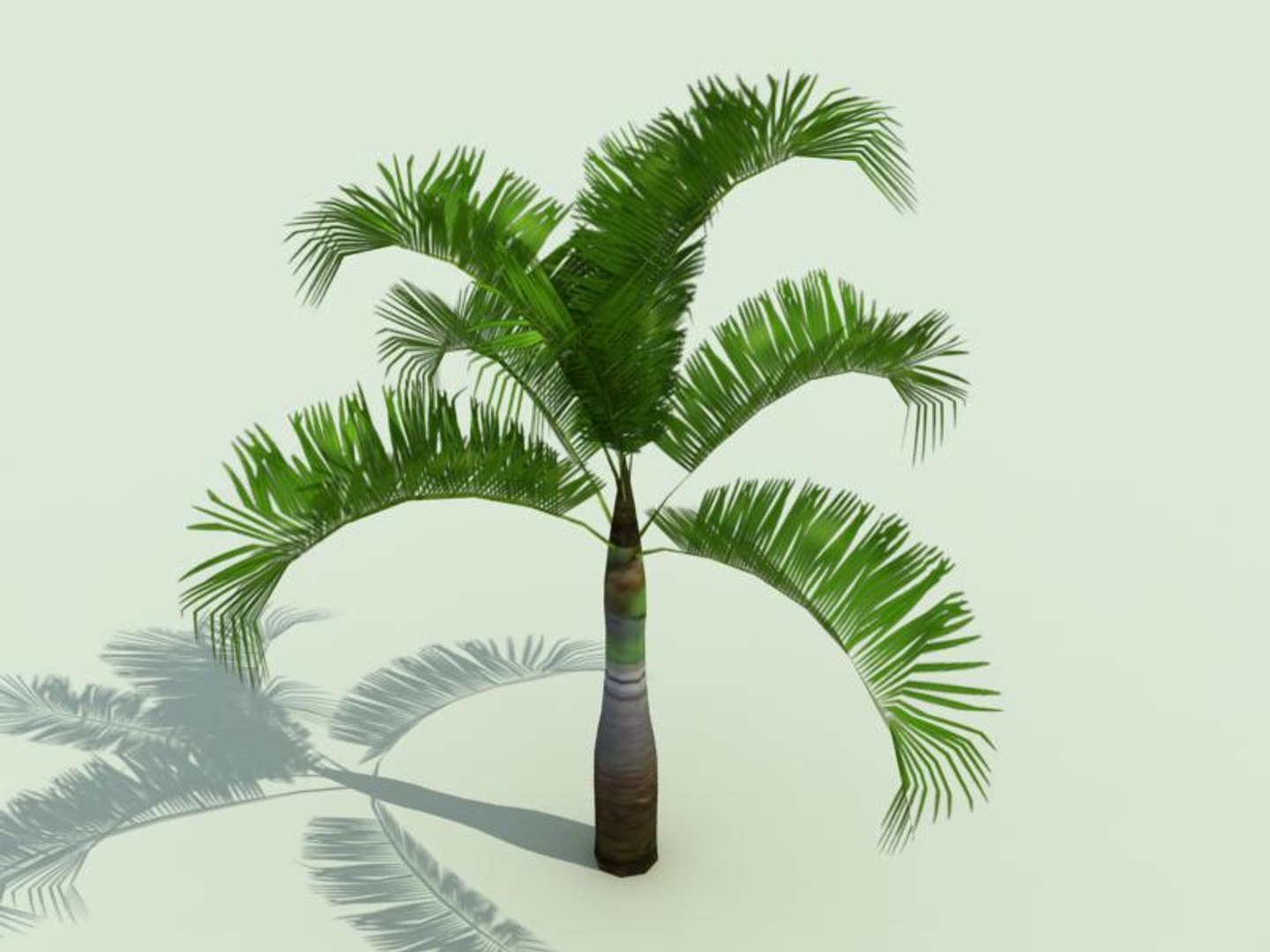 palm trees 3d model https://p.turbosquid.com/ts-thumb/xo/sS0GNW/cD1nDH4G/palm003b/jpg/1256711815/1920x1080/fit_q87/8c9c0d586ff4bd09c257a8e9fc84d2055a231157/palm003b.jpg