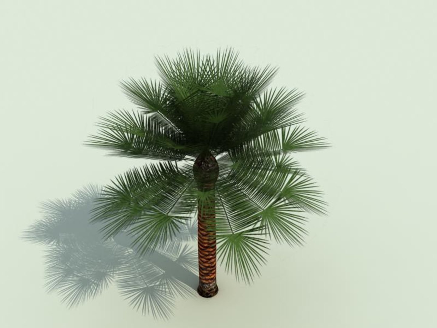 palm trees 3d model https://p.turbosquid.com/ts-thumb/xo/sS0GNW/twbtHKMk/palm006b/jpg/1256712104/1920x1080/fit_q87/e9ddee9f87b632f37d38694008e3085b2bb415ec/palm006b.jpg