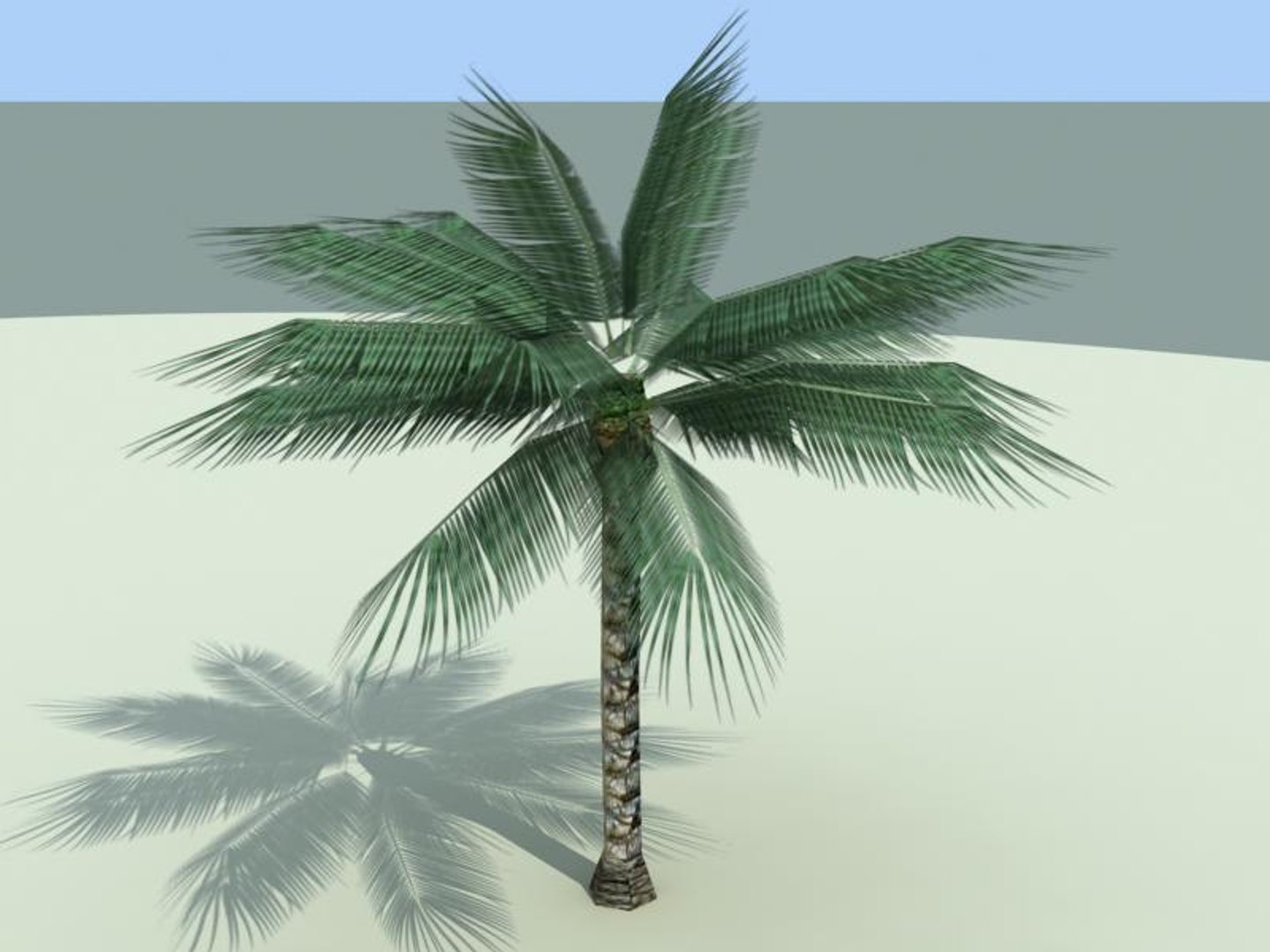 palm trees 3d model https://p.turbosquid.com/ts-thumb/xo/sS0GNW/yMKr05Gq/palm001b/jpg/1256711277/1920x1080/fit_q87/b1ec9e269950f017d6a1afd83ee5e95bbb24eabf/palm001b.jpg