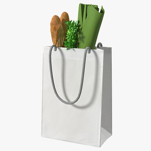 3D Paper Retail Bag with Products