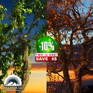 3d model broadleaf leaf tree