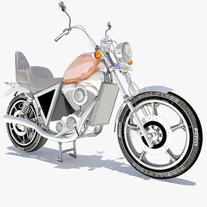 Custom Bike