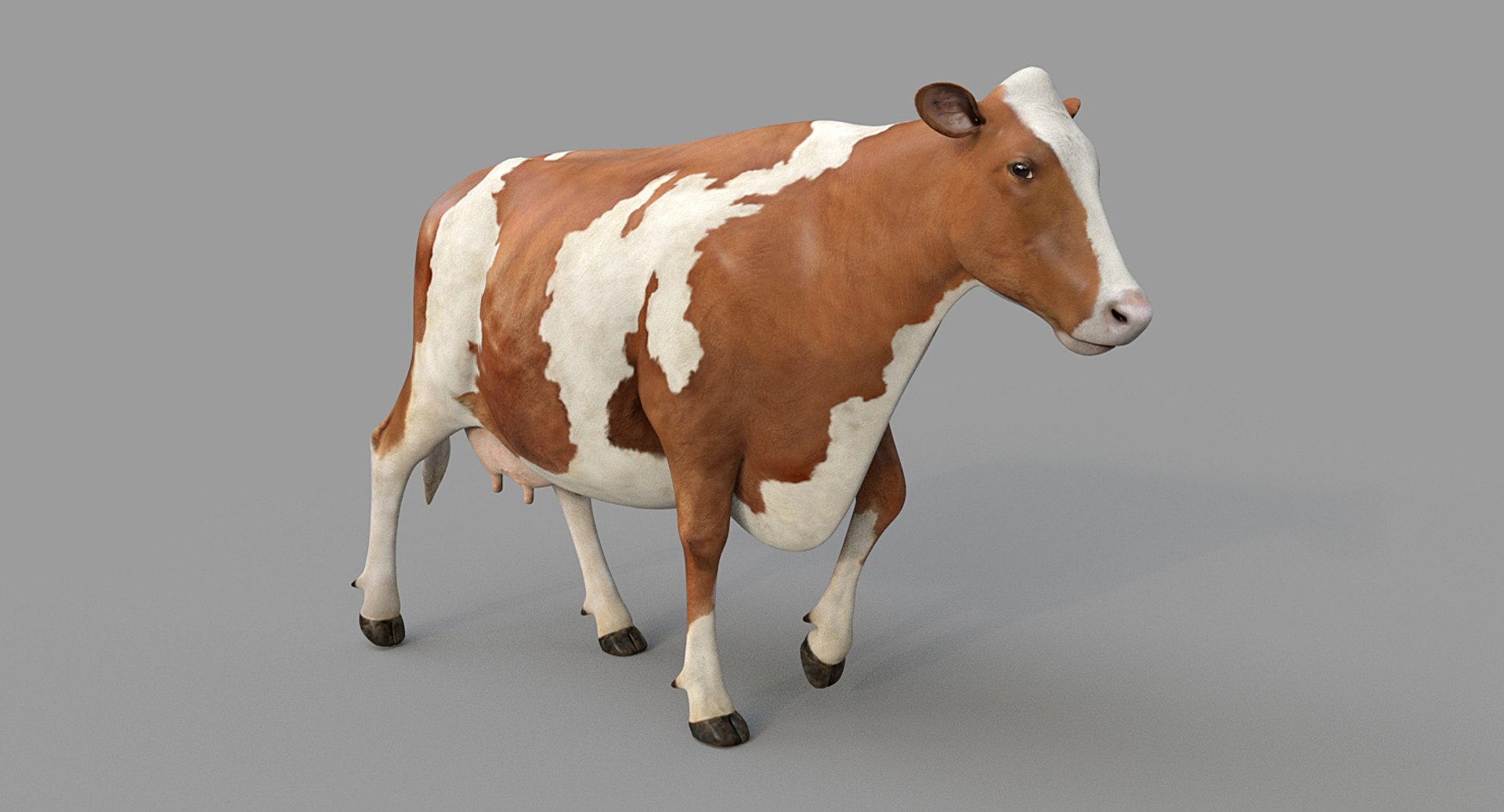 1,361 Mini Cow Images, Stock Photos, 3D objects, & Vectors
