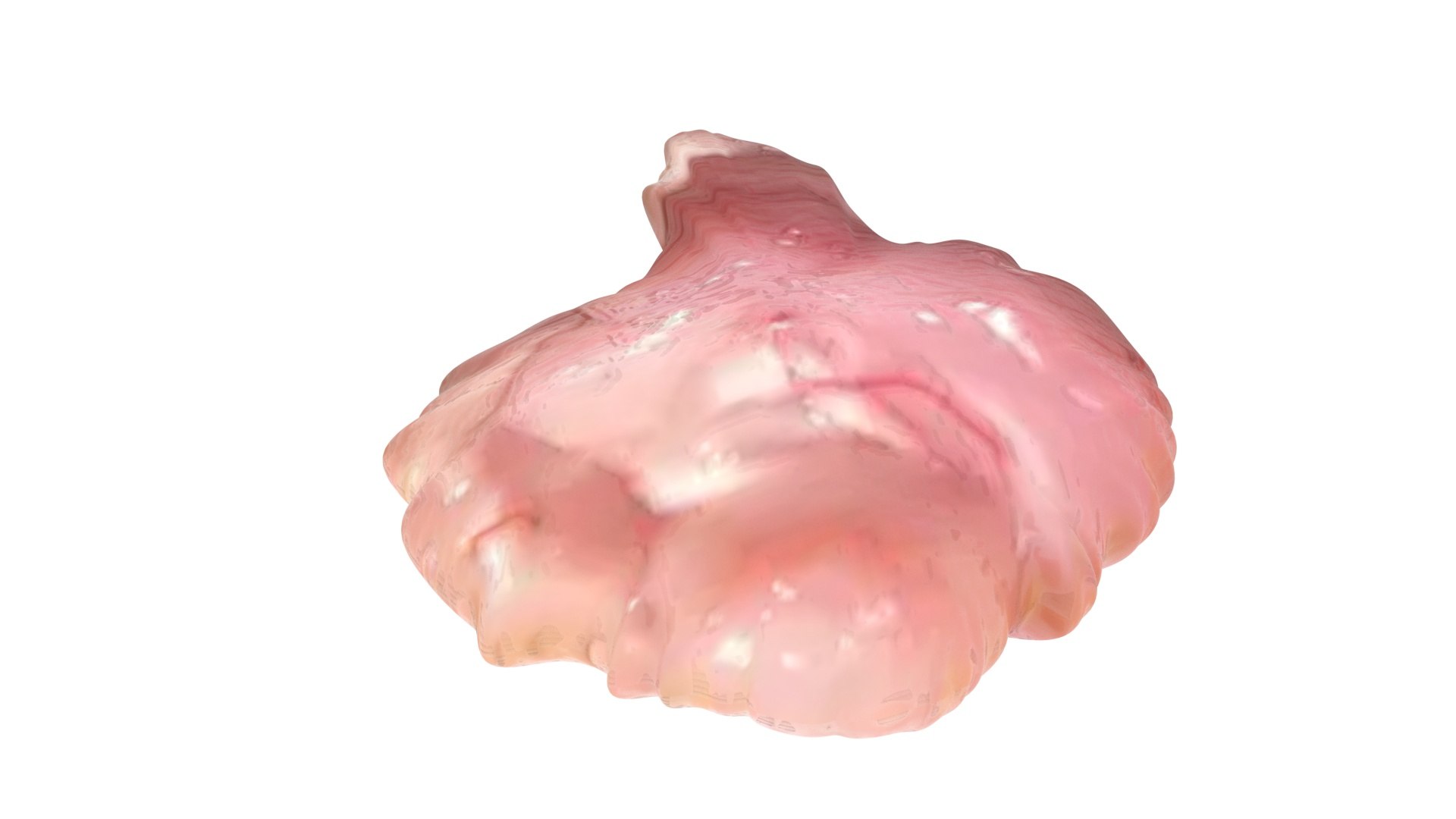 3D Chicken Brain model https://p.turbosquid.com/ts-thumb/xp/A47BIk/JG/chickenbrain10/jpg/1719902102/1920x1080/fit_q87/47808cef6d3ebb653aac08fabbb2ee35550bdc41/chickenbrain10.jpg