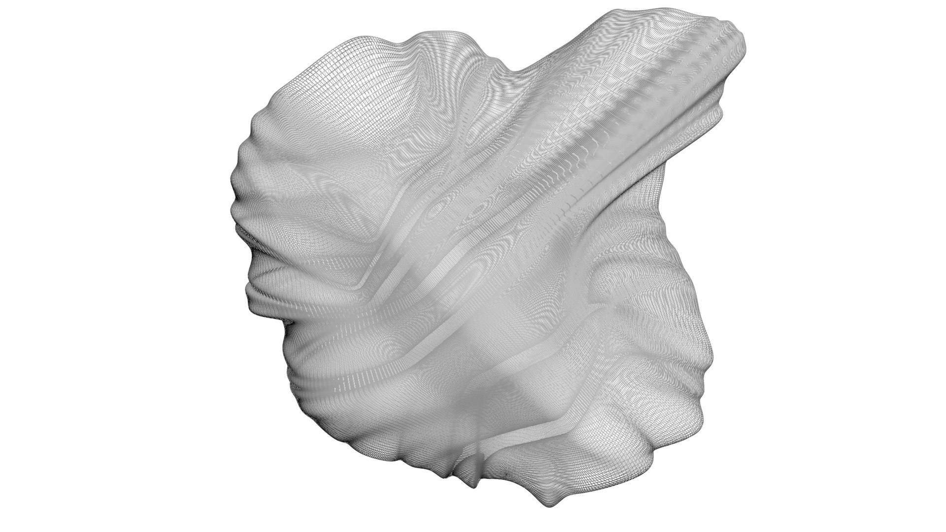 3D Chicken Brain Model - TurboSquid 2249524