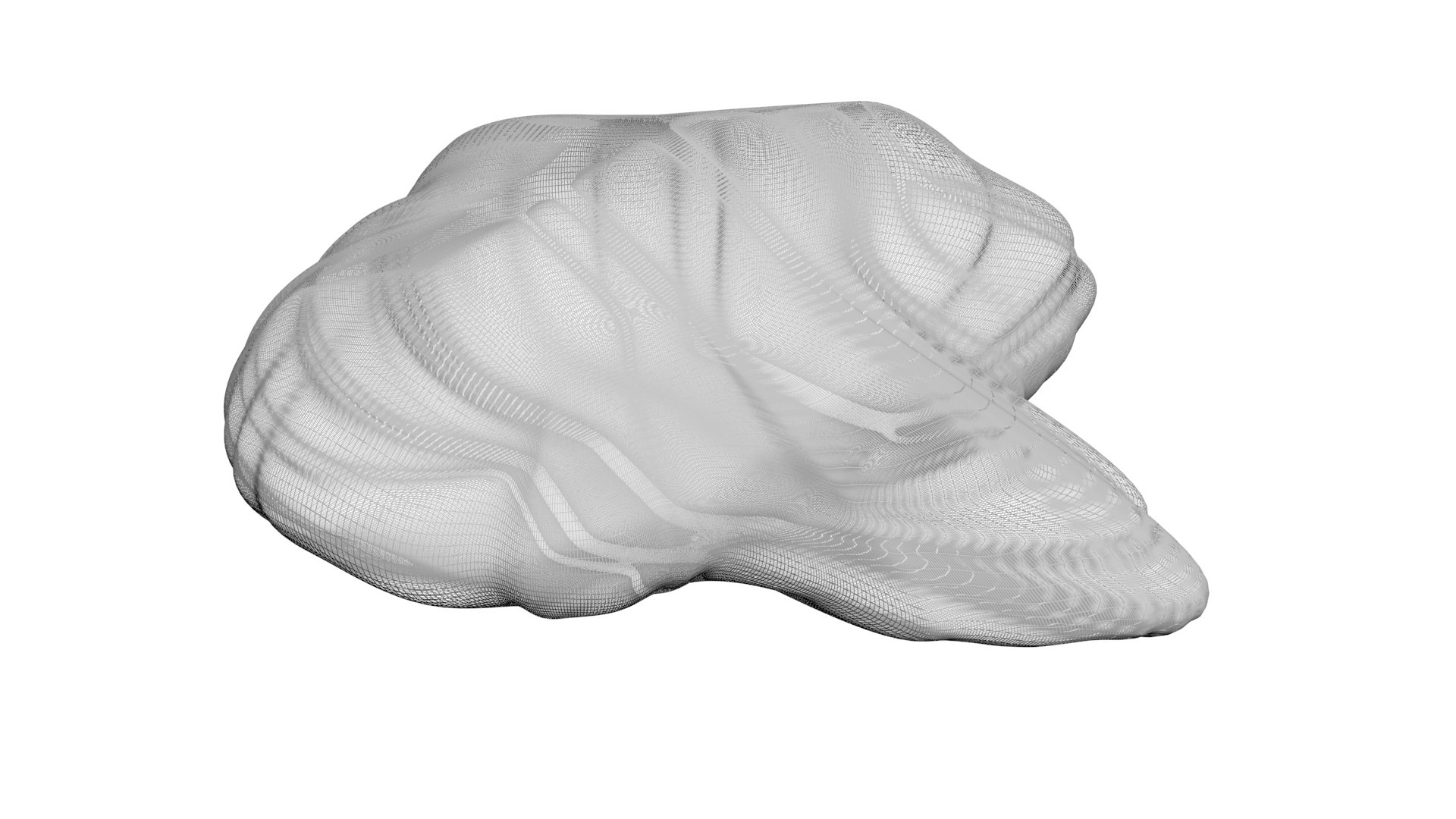 3D Chicken Brain Model - TurboSquid 2249524