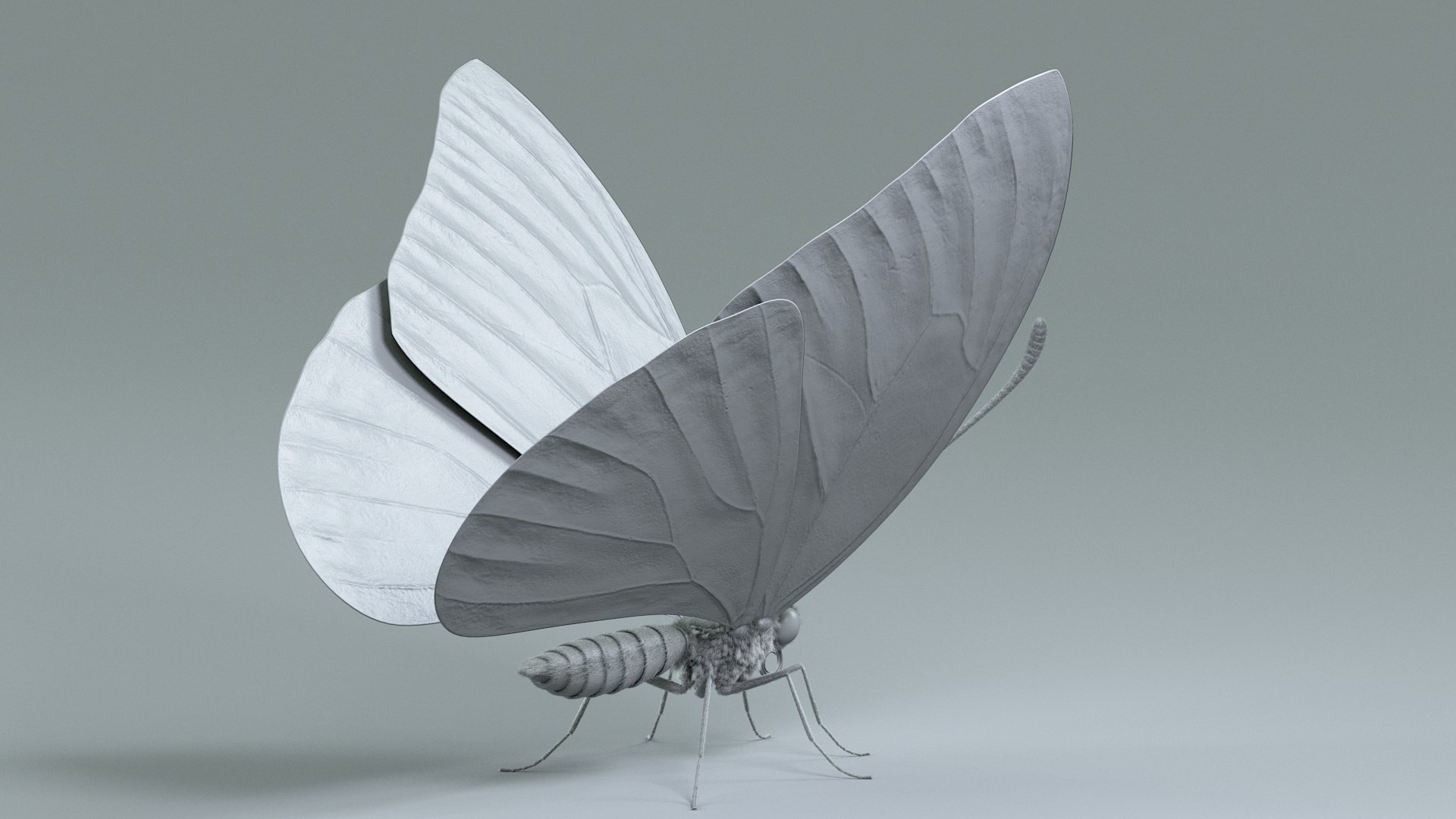 3D model Blue Morpho Butterfly Rigged Xgen https://p.turbosquid.com/ts-thumb/xp/GmgiVD/K6/blue_morpho_14/jpg/1728892175/1920x1080/fit_q87/595d7165157d929afc45d5652d9ff0891c8913eb/blue_morpho_14.jpg