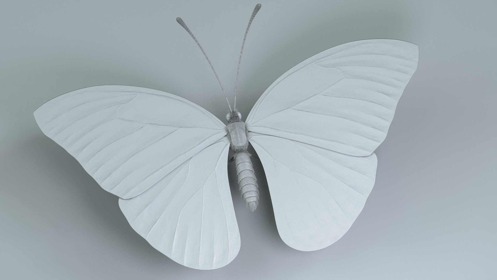 3D model Blue Morpho Butterfly Rigged Xgen https://p.turbosquid.com/ts-thumb/xp/GmgiVD/dJ/blue_morpho_16/jpg/1728892181/1920x1080/fit_q87/8a391788a919071155abb69bab968d21846fc87d/blue_morpho_16.jpg
