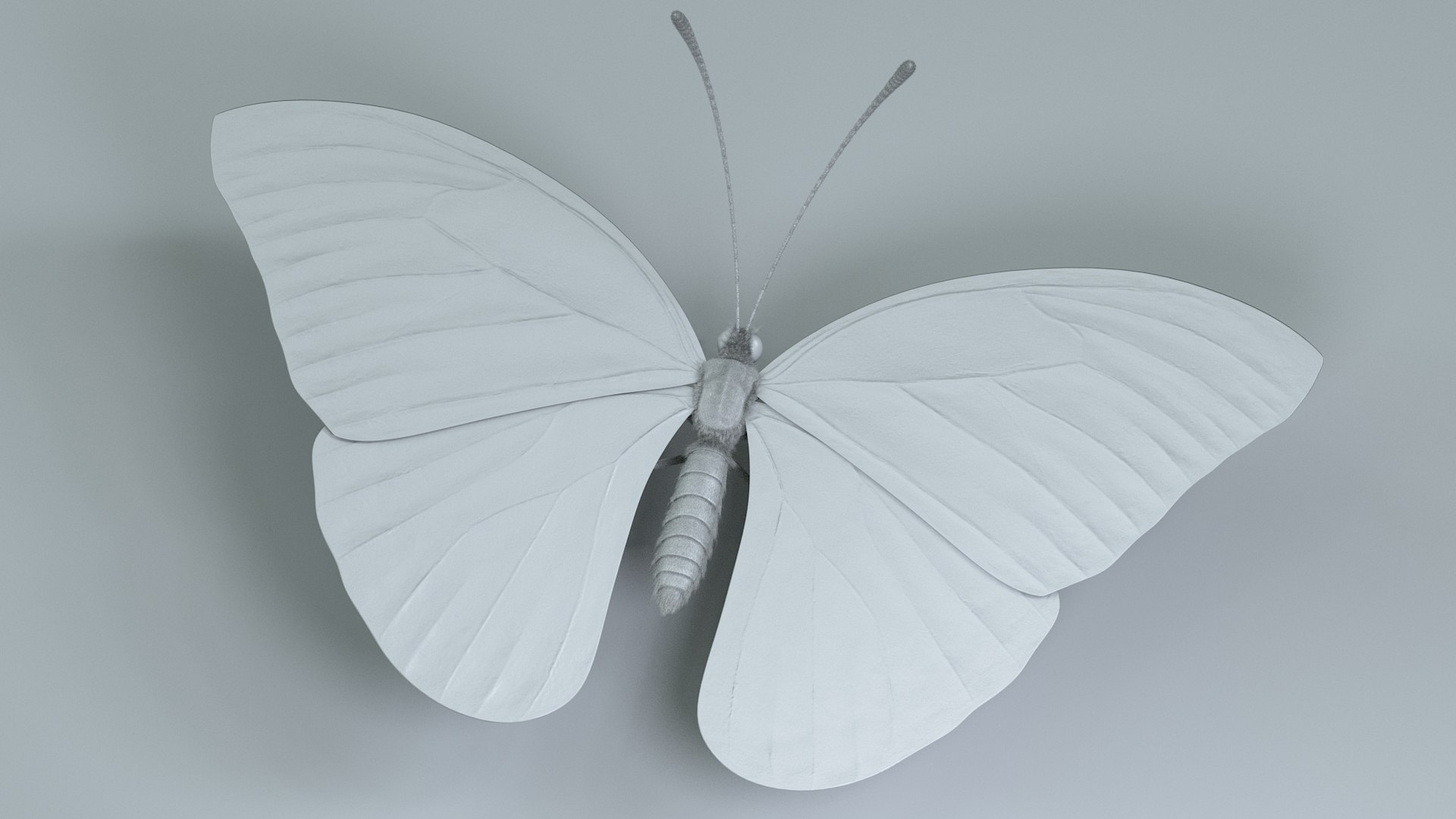 3D model Blue Morpho Butterfly Rigged Xgen https://p.turbosquid.com/ts-thumb/xp/GmgiVD/he/blue_morpho_15/jpg/1728892178/1920x1080/fit_q87/3a8b34b269910edb4898c73c803163b9ac06f37a/blue_morpho_15.jpg