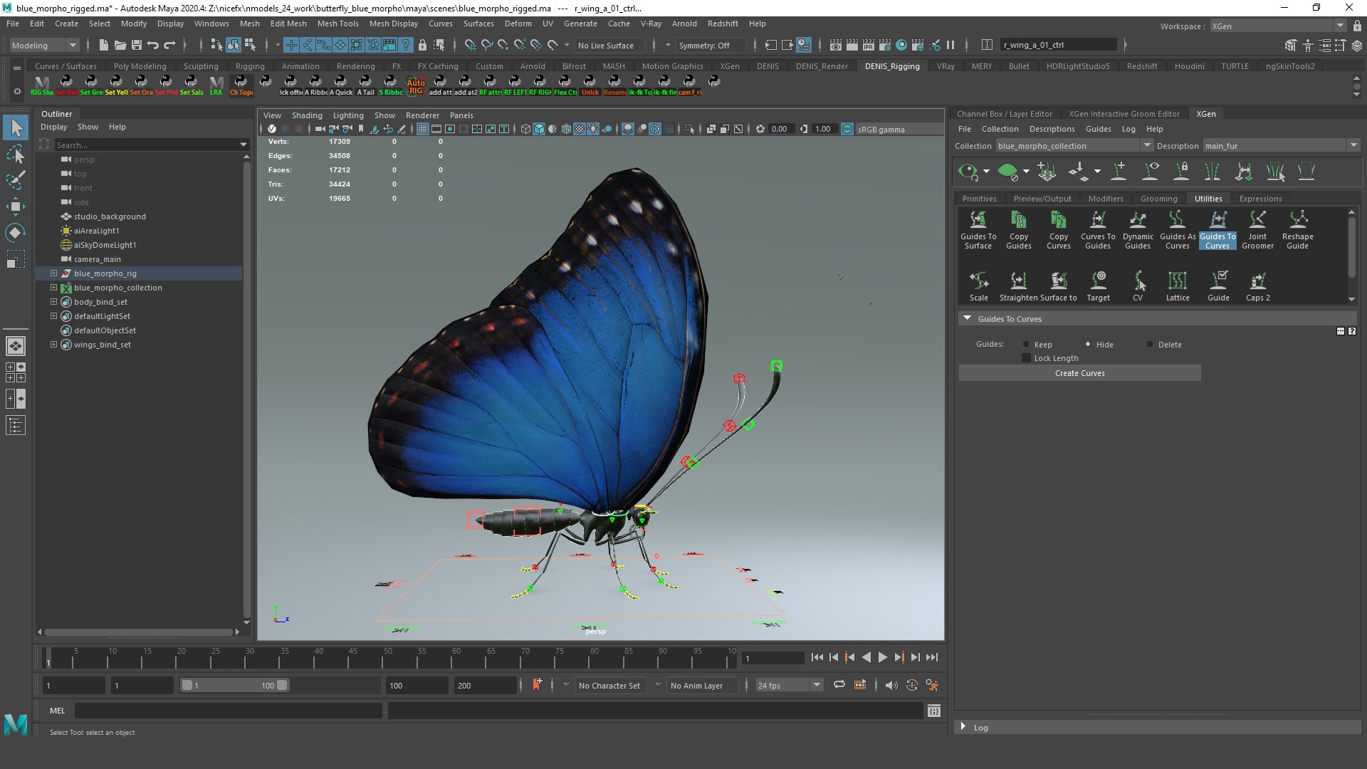 3D model Blue Morpho Butterfly Rigged Xgen https://p.turbosquid.com/ts-thumb/xp/GmgiVD/oQ/blue_morpho_maya_screenshot_02/jpg/1728892242/1920x1080/fit_q87/0900f3133da021436e79ea99d331272040681444/blue_morpho_maya_screenshot_02.jpg