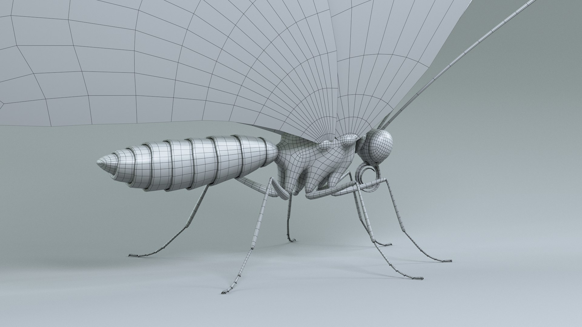 3D model Blue Morpho Butterfly Rigged Xgen https://p.turbosquid.com/ts-thumb/xp/GmgiVD/xM/blue_morpho_31/jpg/1728892201/1920x1080/fit_q87/871cf346b831c73b7e7133bdc453d5fee68742ab/blue_morpho_31.jpg