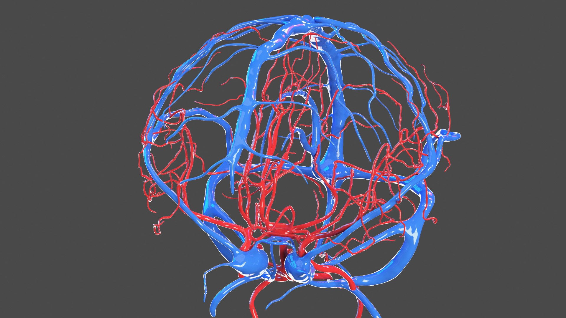 3D Boy Body Anatomy Collection model https://p.turbosquid.com/ts-thumb/xp/MsdDYy/05/boybodyanatomycollection3dmodel034/jpg/1647438809/1920x1080/fit_q87/27006bc38f13c06ef951683766e586cef5042e76/boybodyanatomycollection3dmodel034.jpg