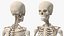 Körperanatomie-Sammlung für Jungen