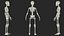 Körperanatomie-Sammlung für Jungen