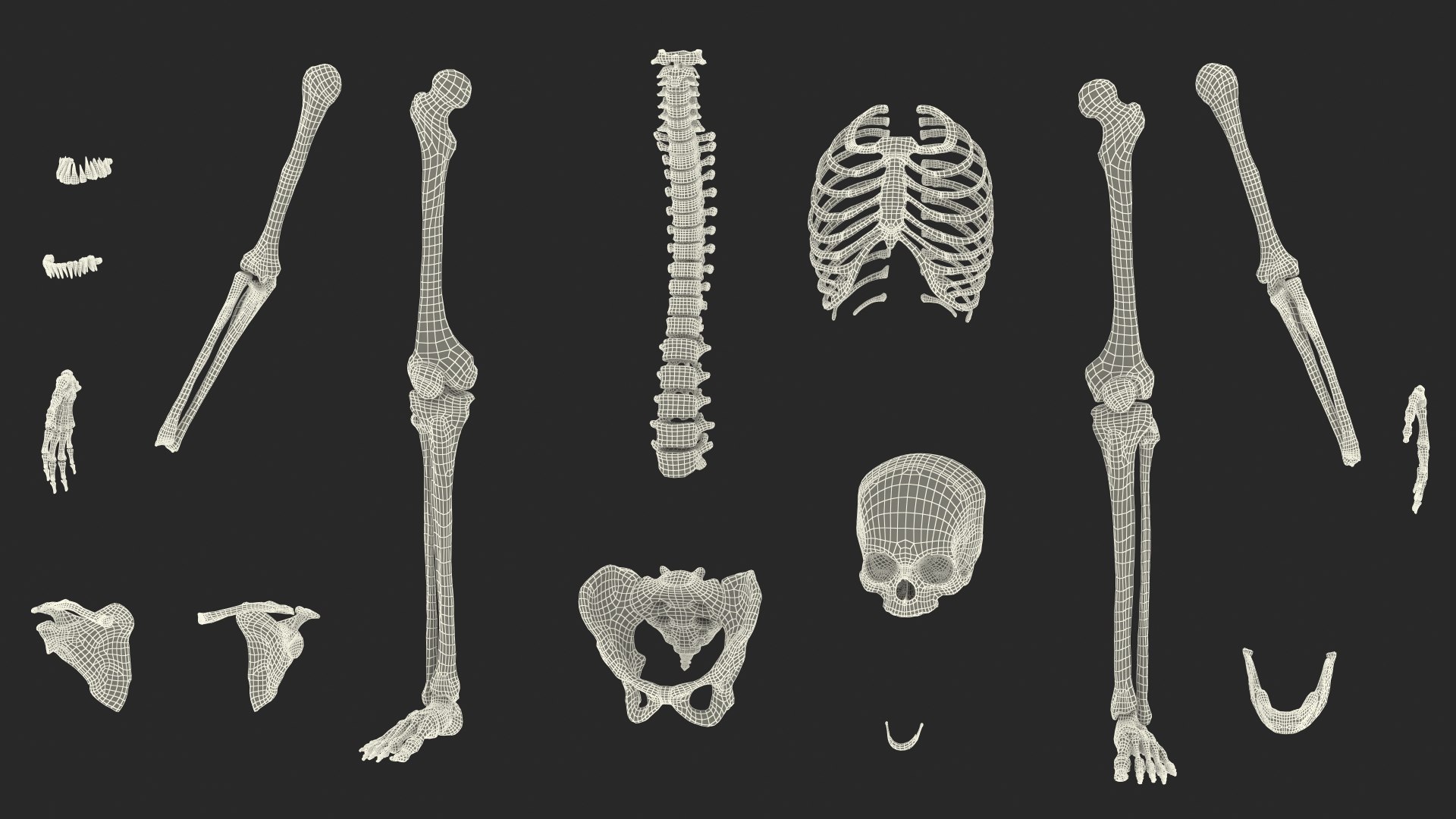 3D Boy Body Anatomy Collection model https://p.turbosquid.com/ts-thumb/xp/MsdDYy/A4/boybodyanatomycollection3dmodel092/jpg/1647438992/1920x1080/fit_q87/db392c01263e926ef3cea7c0ec8b60be54f82ee7/boybodyanatomycollection3dmodel092.jpg