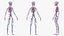 Körperanatomie-Sammlung für Jungen